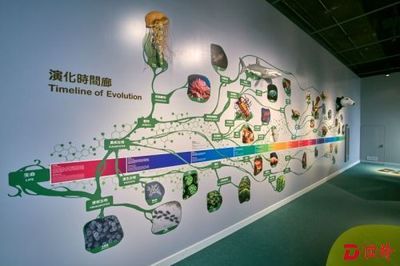 香港科學(xué)館新推生物多樣性展廳 開啟奇妙自然探索之旅