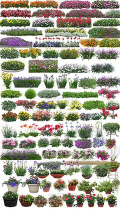 園林景觀與家用電器 現(xiàn)代家居美學的新融合