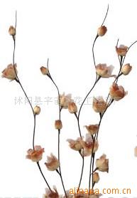 供應(yīng)葉脈花、龍柳、三叉木、龍桑、蘆葦專業(yè)指南